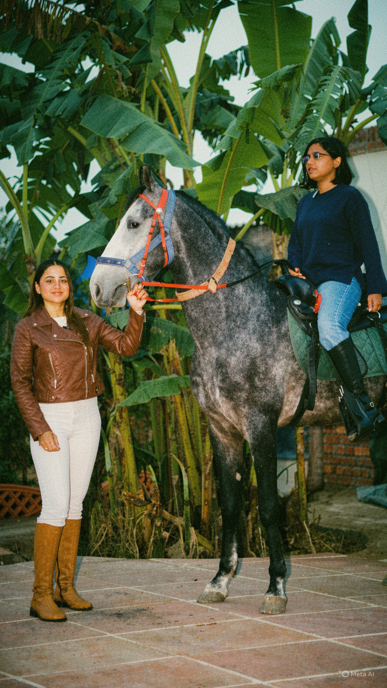 Wildhood horse riding